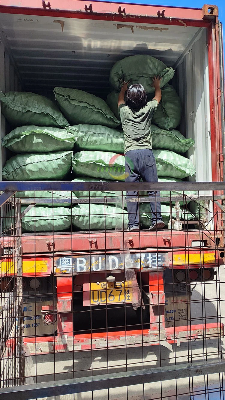 ocean balls ocean balls