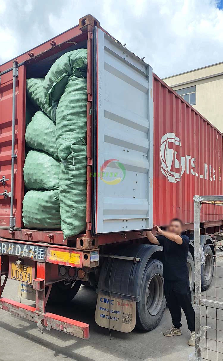 ocean ball ocean ball